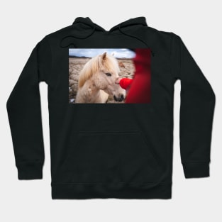 Men Meeting with Icelandic White Horse Hoodie